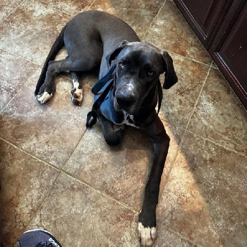 Mr. Odin 